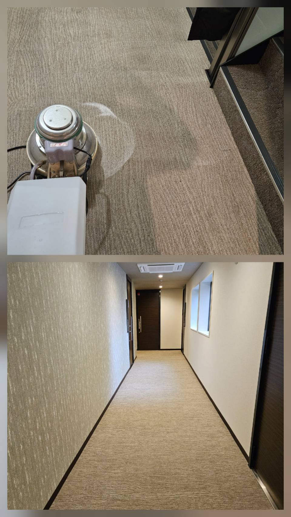 秋田県秋田市　マンションのカーペット洗浄掃除